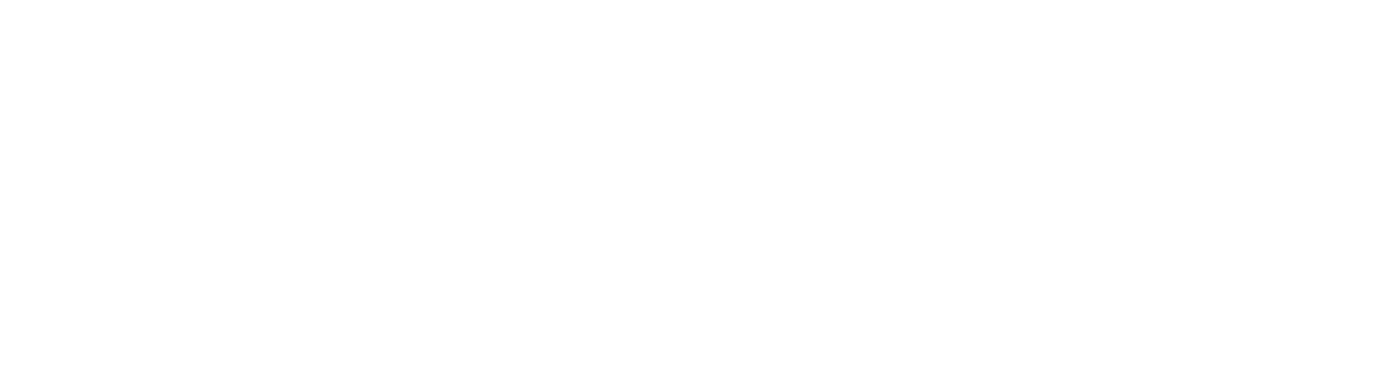 AESLIT