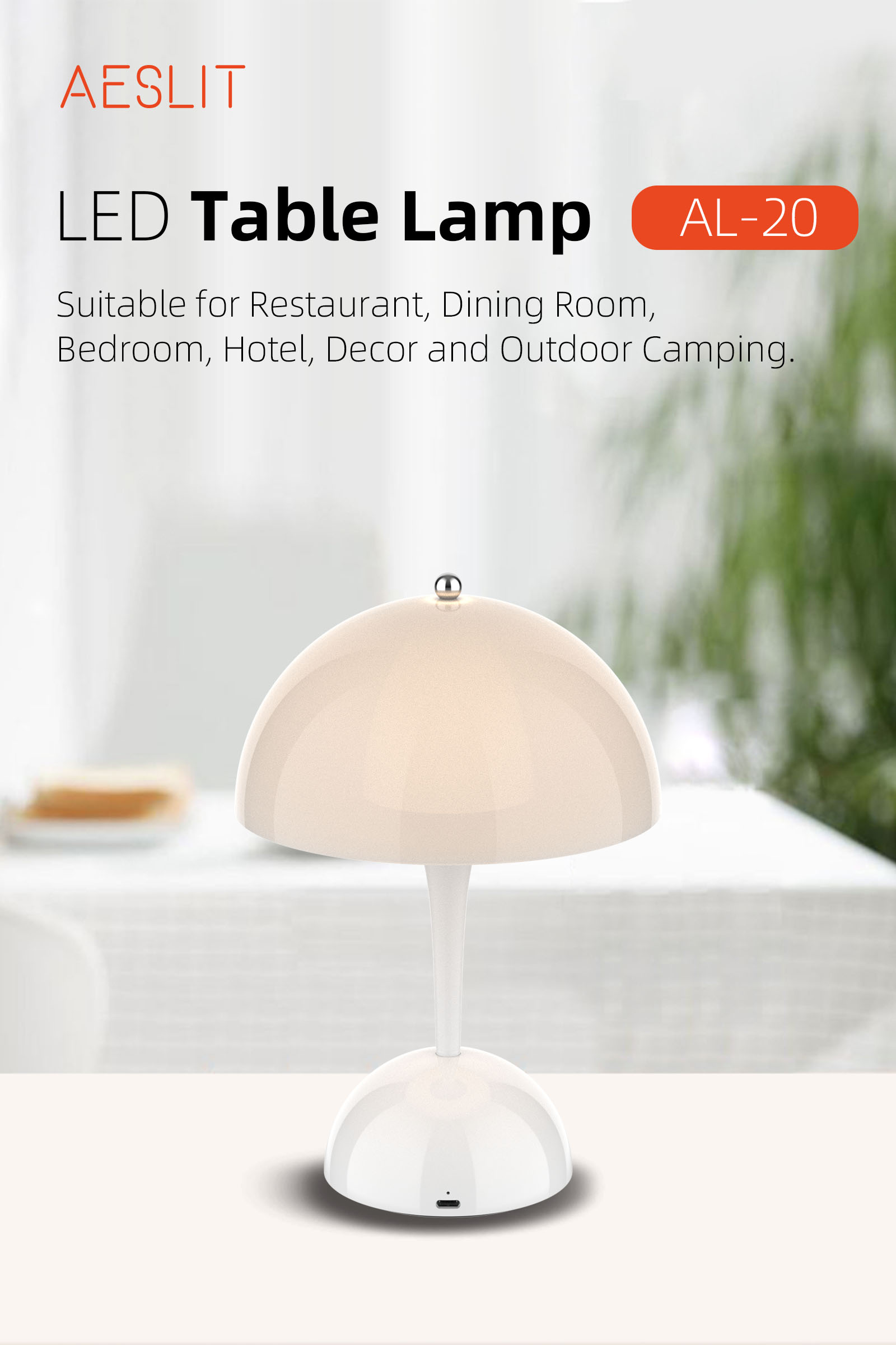 AESLIT 20、照明灯具Lighting fixtures AL 20 6