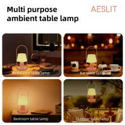AESLIT 3、照明用提灯 110041lanterns for lighting AL 14 5