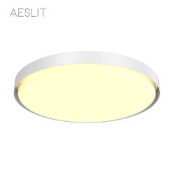 AESLIT 7、顶灯 110136ceiling lights 2