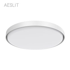 AESLIT 7、顶灯 110136ceiling lights 3